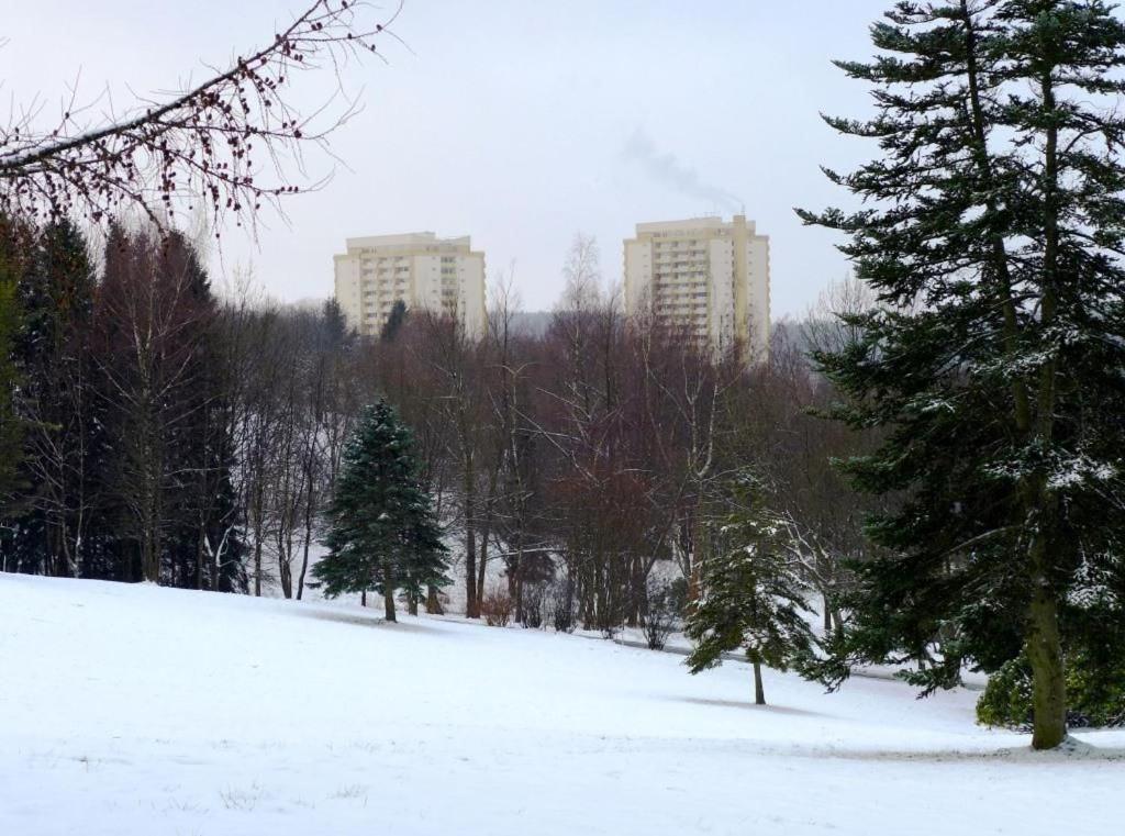 Ferienapartment Mit Schwimmbad Und Bergblick Braunlage Dış mekan fotoğraf