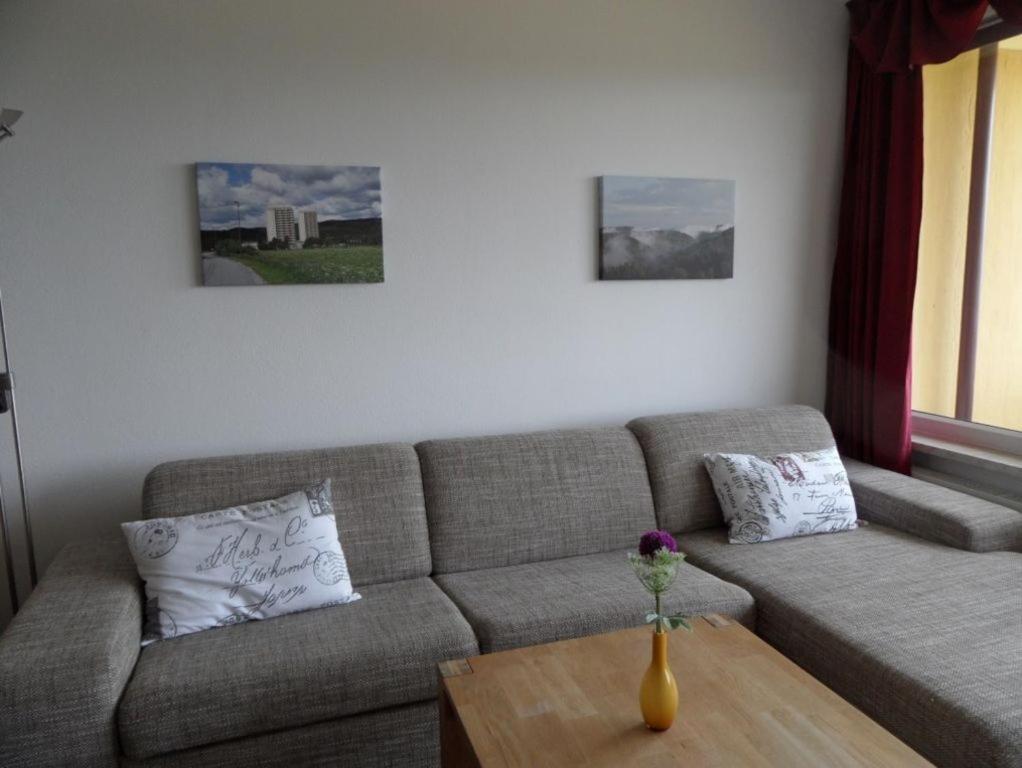 Ferienapartment Mit Schwimmbad Und Bergblick Braunlage Dış mekan fotoğraf